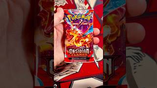 Illustration Rare Pokemon Obsidian Flames Scarlet and Violet pokemon pokemoncards pokemontcg [upl. by Bellda611]