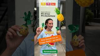 Ananassalat Fun im TOGGO RADIO  Ananas 🍍  Zungenbrecher [upl. by Rengia]