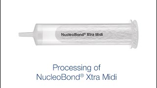 Processing of NucleoBond Xtra Midi [upl. by Otsuj77]