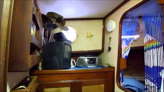 Willard 40 Pilothouse Motorsailer  Boatshedcom  Boat Ref145075 [upl. by Chema]