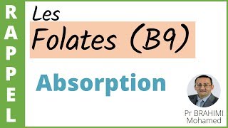 02 ABSORPTION DES FOLATES VITAMINE B9 [upl. by Maisel]