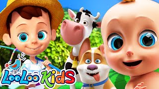 🧒Kids Song Collection  S3EP39 Kindergarten Fun Highlights Compilation  LooLoo Kids Songs for Kids [upl. by Ingar]