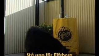 Stå upp för Elfsborg [upl. by Adnilak]