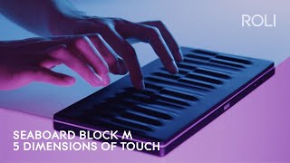 Seaboard BLOCK M Discover 5 Dimensions of Touch Anywhere [upl. by Balliol]