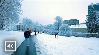 🇩🇰 Aarhus Denmark  Snow Fall Walking Tour 4K  Dec 2023 [upl. by Crellen]