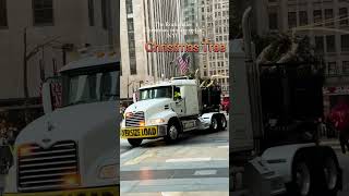 The Rockefeller Christmas Tree arrived in NYCChristmas treerockafellercenter [upl. by Nylireg]