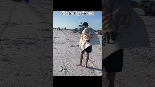 Siesta Key Beach Florida siestakeybeach florida shortsvideo shortsviral [upl. by Ettenna532]