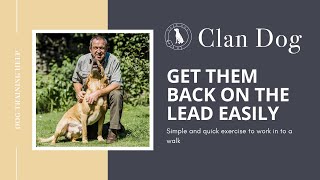 Simple lead training exercise for your dog [upl. by Oelgnaed]