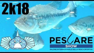 Pescare Show Vicenza 2018  Visitate con NOI la Fiera Fishing amp Biodiversity [upl. by Nnanaej385]