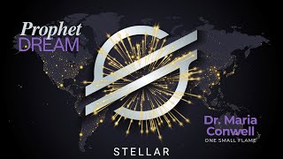 NOV 27 2024 Stellar Lumens Crypto Prophet Dream stellarlumens xlm propheticcrypto [upl. by Ayalahs]