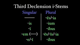 Third Declension iStems [upl. by Picardi]