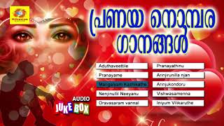 പ്രണയ നൊമ്പര ഗാനങ്ങൾ  Pranayanobara Ganangal  Malayalam Pranaya Ganangal [upl. by Tik]