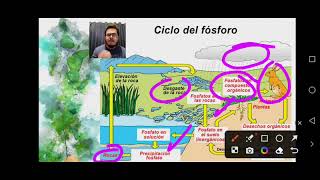 EcologíaCiclos Biogeoquimicos y Agroecologia 🌱🌎🌲📝🔬📚🧬🧪 [upl. by Boarer]