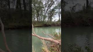 Bass pescao fishing fish pescadores viralvideo [upl. by Cumine972]