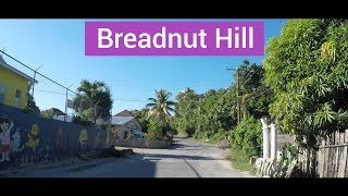 Breadnut Hill Ocho Rios St Ann Jamaica [upl. by Hwang]