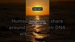 quotCrazy Facts That Will Blow Your Mind 🤯  Fun Facts You NEED to Knowquot shorts [upl. by Hertz]