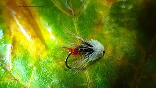 Tying Arthur MacDonalds Westie Muddler with Davie McPhail [upl. by Adnilym343]