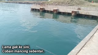 Mancing Pinggiran Laut umpan udang kupas Di Dermaga Pelindo Bojonegara  Fishing videos [upl. by Nuahsyt]