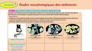 Études morphologiques des sédiments svt 1 bac sc ex option français شرح بالداريجة [upl. by Carey984]