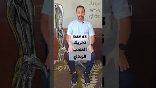 DAY 43  تحريك و تحرير العصب الزندي  Ulnar nerve gliding neurodynamics [upl. by Fennessy414]