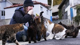 Lîle aux chats Tashirojima [upl. by Asecnarf]