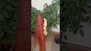 Do C Sapele wood bass native american flute [upl. by Pantheas609]