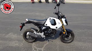 2024 Honda Grom [upl. by Adlee459]