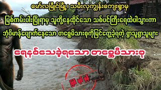 ရေနစ်သေခဲ့ရသော တစ္ဆေမိသားစု bagyisan02 myanmaraudiobook audiobooks [upl. by Dulcie35]