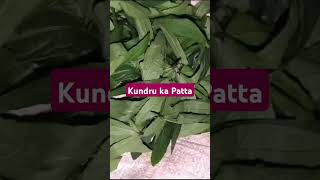 cookwithnitu recipe kundru ka Patta iski sabji banti hai [upl. by Hanaj]