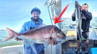 BIG Western Port Snapper amp Gummy Shark Fishing [upl. by Adahsar]