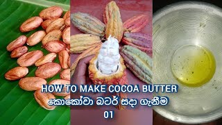 how to make cocoa butter  කොකෝවා බටර් සාදා ගැනීම  1 [upl. by Ocsicnarf]