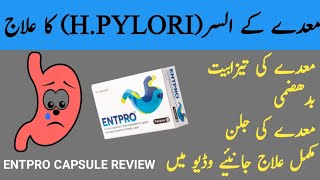 Entpro capsules uses in Urdu  hpylori treatment  entpro capsules dosage  entpro capsules [upl. by Emsoc]