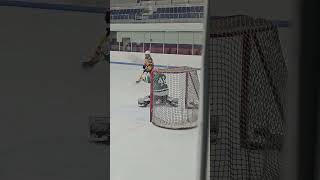 Almost icehockey nhl ishockey icesport youtube shorts [upl. by Brendin]