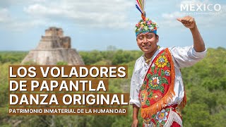 La ceremonia ritual de los Voladores de Papantla  Pájaros de la Tierra  Patrimonio Inmaterial [upl. by Nassah]