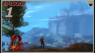 Lets Play Guild Wars 2  In 2022  New Player Experience  Engineer  Part 1  Gameplay Walkthrough [upl. by Sidnak]