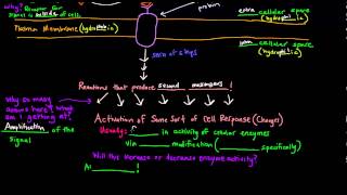 Cell Signaling Part 2 of 2  Signal Transduction  General Scheme [upl. by Tahpos]