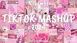 Tiktok Mashup November 💗2024💗 Not Clean [upl. by Hedelman]