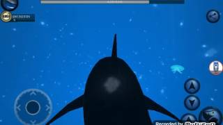 fishing simulator A Shark Attack [upl. by Atteugram]