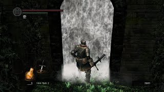 Dark Souls Capra Demon first try ever [upl. by Hewitt220]