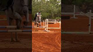 2’6 Ignore me lol fypシ゚ horse equestrian jump [upl. by Ecitnerp683]