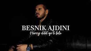 Besnik Ajdini  Harroj ditët që ti fala COVER [upl. by Airtap53]