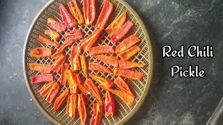 Red Chilli Pickle  Athela Marcha Recipe  Raita Marcha food redchilli recipe [upl. by Pincas]