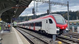 SBB FLIRT EVO bei der Ausfahrt in Langnau iE [upl. by Norahc]