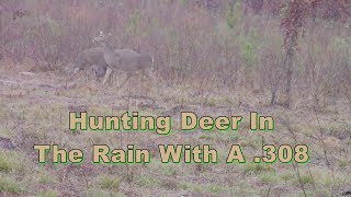 Deer Hunt In The Rain With A 308 [upl. by Nema422]