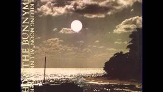 Echo amp the Bunnymen  The Killing Moon 1984 HD [upl. by Randene715]