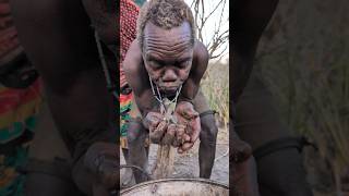 See how Hadza old strong it is eating very Hot Soup direct from fire is unbelievable😲😋hadzabetribe [upl. by Nosylla]