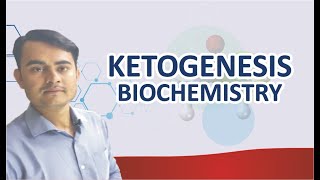 KETOGENESIS BIOCHEMISTRY SIMPLIFIED [upl. by Isied857]