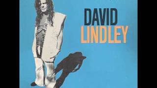 David Lindley  Talk To The Lawyer [upl. by Nanete]