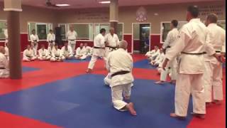 WadôRyu KaratêDo Takamatsu Nashville 2017 Seminar at Nashville USA [upl. by Eirffej]