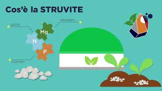 Presentazione del progetto Struvite [upl. by Anatola]